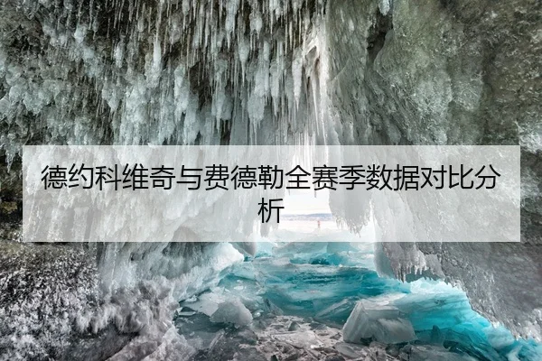 德约科维奇与费德勒全赛季数据对比分析